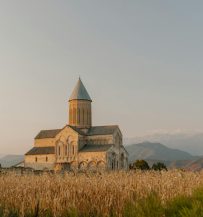 Photo by Julia Volk Ancient stone Catholic cathedral in rural area with long meadow grass under blue sky